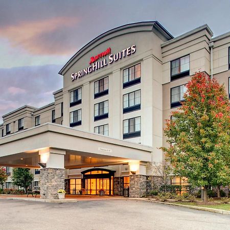 Springhill Suites By Marriott Wheeling Triadelphia Area Exterior foto
